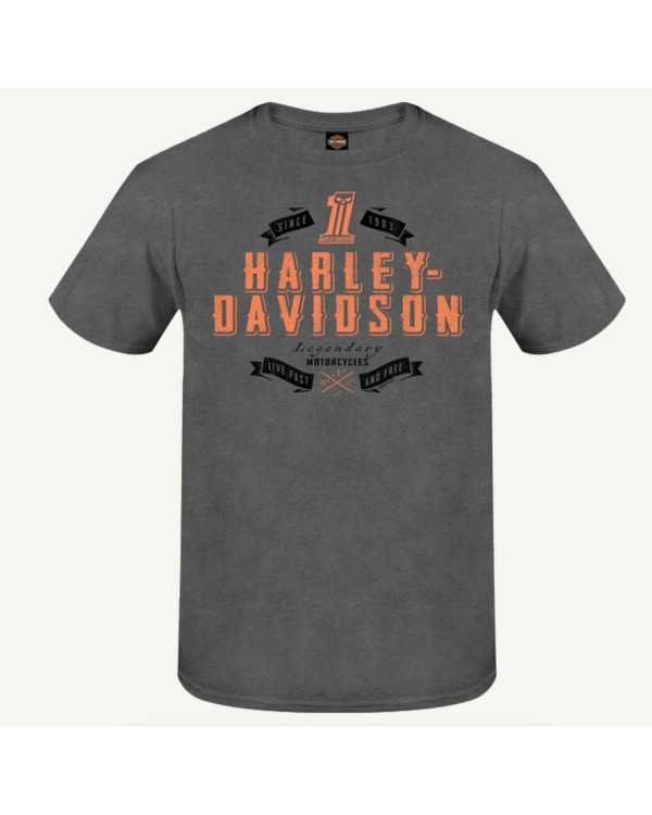 Harley Davidson Route 76 t-shirt uomo 3001692