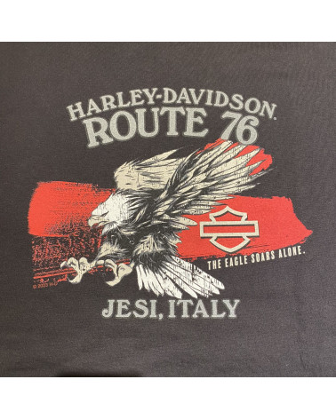 Harley Davidson Route 76 t-shirt uomo 3001697