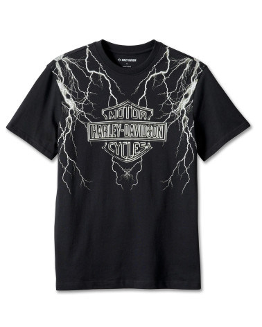 Harley Davidson Route 76 t-shirt uomo 96205-24VM